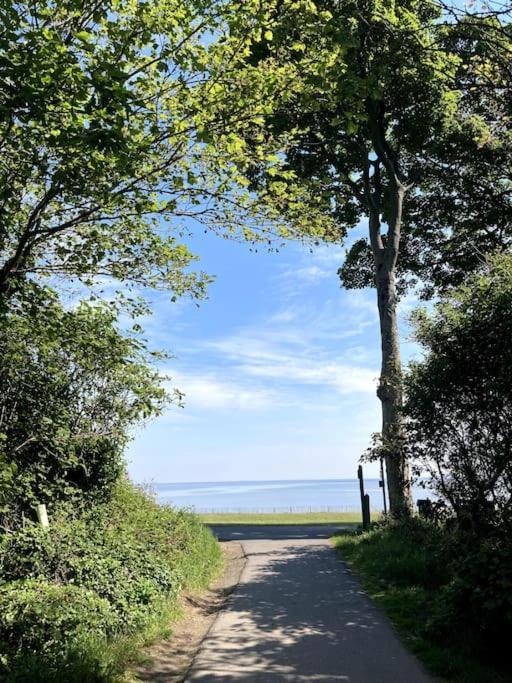 'The Studio' Designer, Seaside Cottage Crawfordsburn Exteriör bild